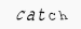 Captcha verification